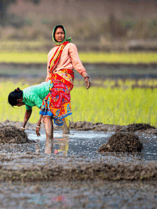 महिला का खेत से रिश्ता: श्रम से अधिकार तक
